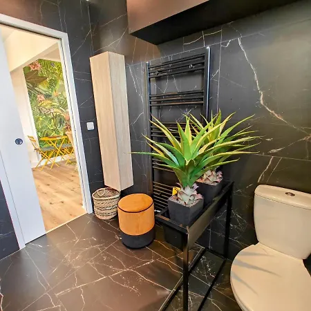 Cozy Roof Terrace Near Promenade Des - Ac